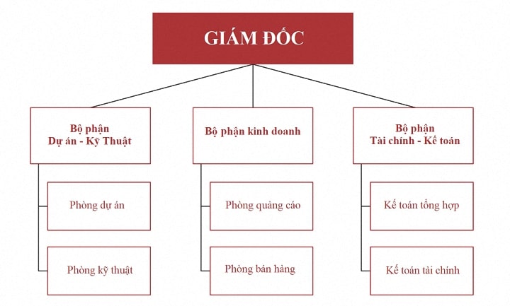Cơ cấu tổ chức của Thanhcongvietnamco